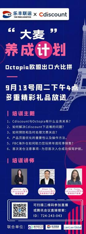 樂豐聯(lián)運攜手Cdiscount官方，全方位攻克開店、運營、發(fā)貨三大難題！-樂豐貨運｜樂豐國際貨運｜樂豐電商物流